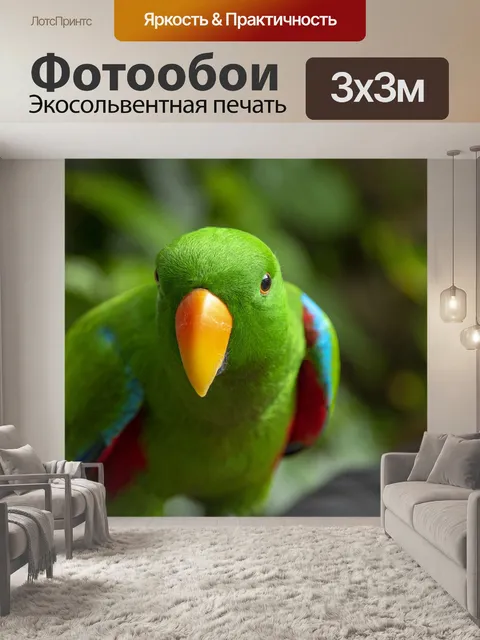Фотообои Электус Попугай