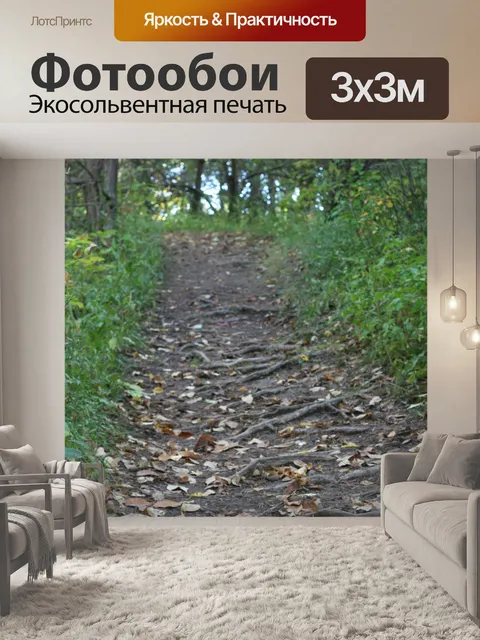 Фотообои тропинка