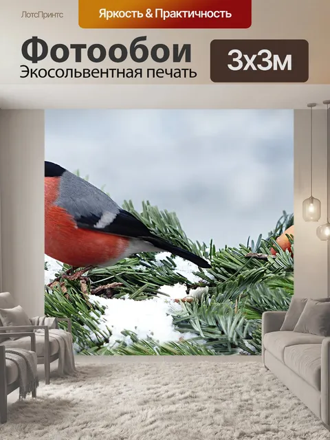 Фотообои Снегирь