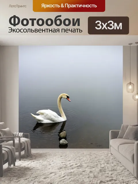 Фотообои спокойное утро, где лебедь созерцает воду, излучающую лёгкий утренний туман, а на дне виднеются необычные…