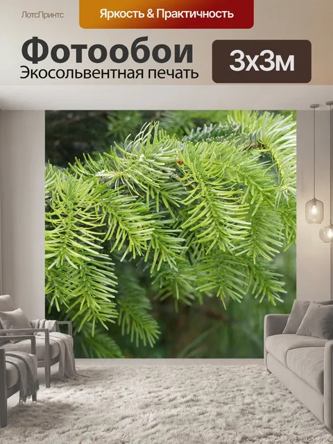 Фотообои Ель