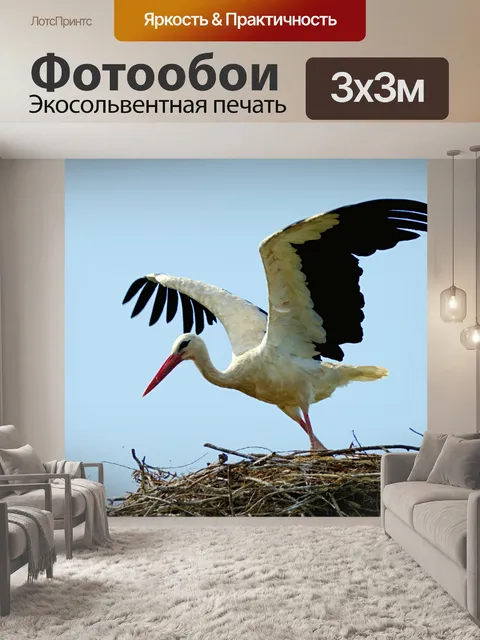 Фотообои Белый аист