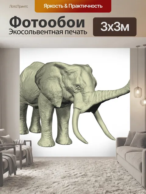 Фотообои Африканский слон