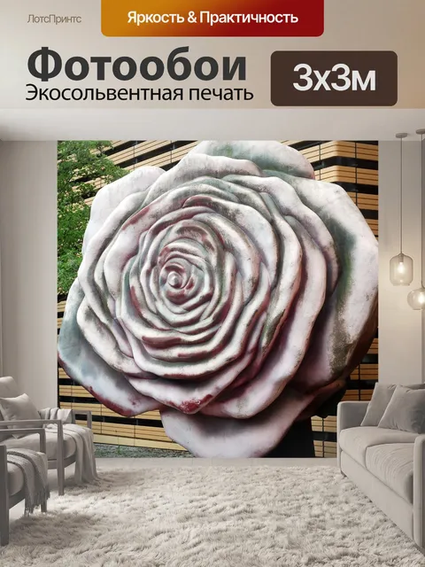 Фотообои Розы