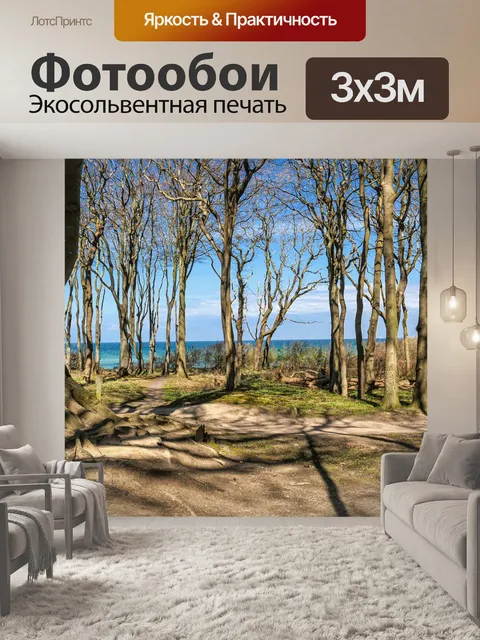 Фотообои Лес
