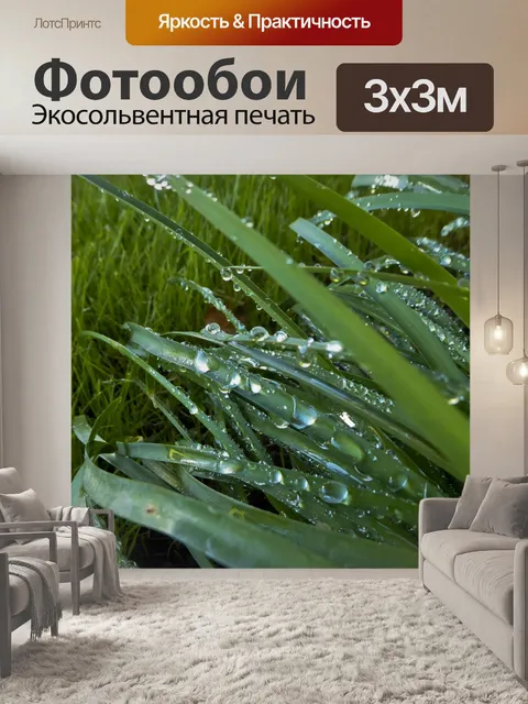 Фотообои Капли на листьях
