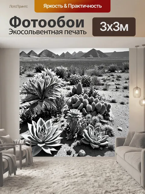 Фотообои египет в стиле черно-белый, ландшафт с пустынными цветами и суккулентами