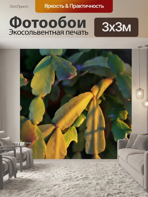 Фотообои солнечный свет на crabclaw завода