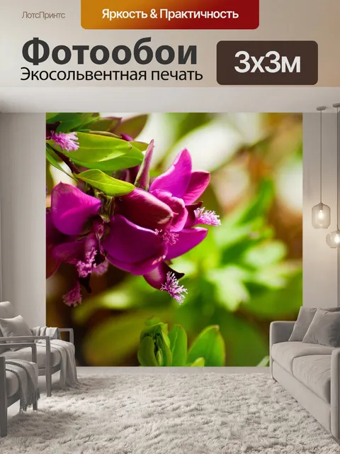 Фотообои Розовые цветы
