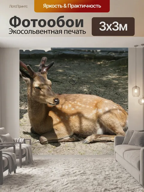 Фотообои Япония