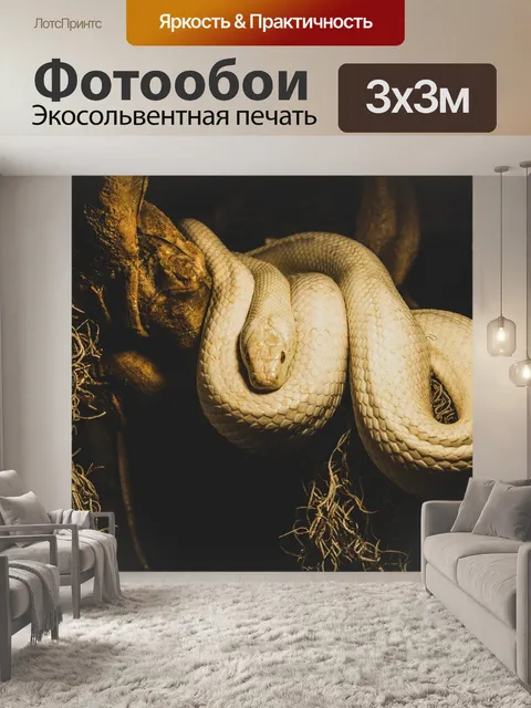 Фотообои Белая змея