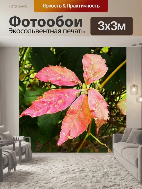 Фотообои Флора