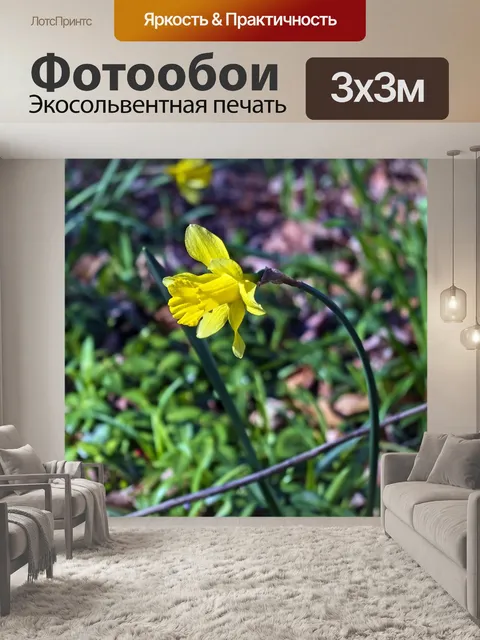 Фотообои Арканзас подсветкой нарциссы 2019