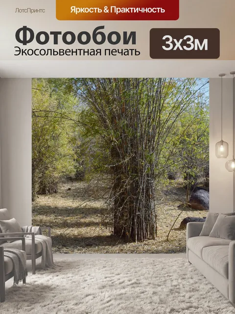 Фотообои Бамбуковый лес 7