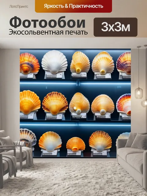 Фотообои разнообразие ракушек в витрине магазина
