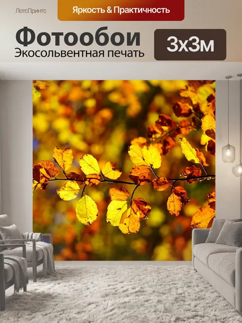 Фотообои Листья бука