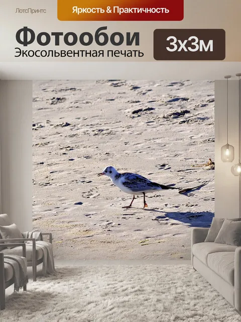 Фотообои Пляж