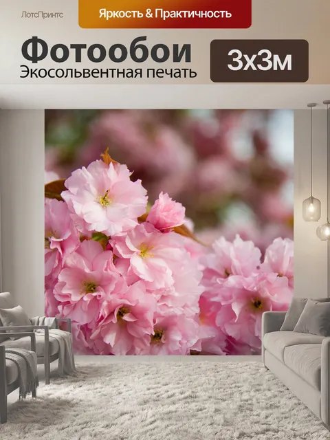 Фотообои Сакура