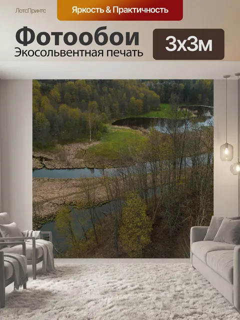 Фотообои Дрон