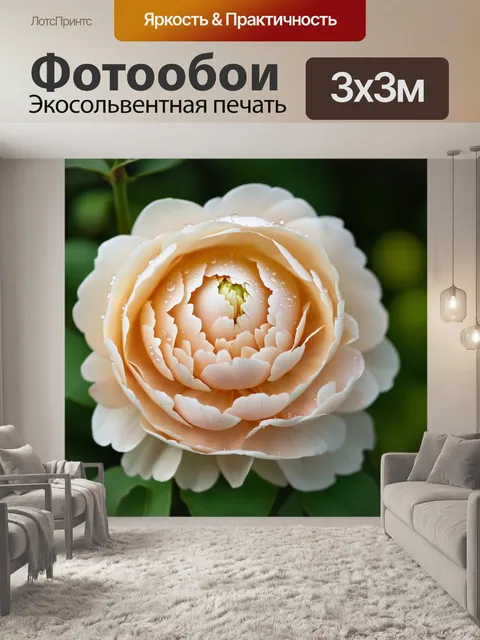Фотообои бежевый цветок пионов с влажными каплями росы на лепестках, создавая эффект свежести и естественности