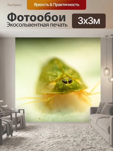 Фотообои Тройки