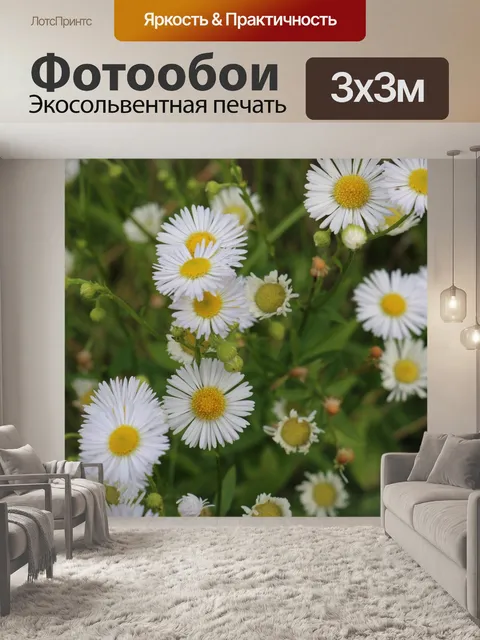 Фотообои Полевые цветы