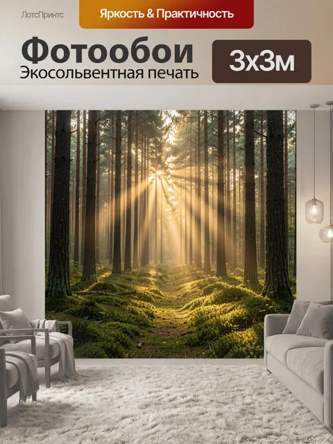Фотообои Солнечные лучи в сосновом лесу