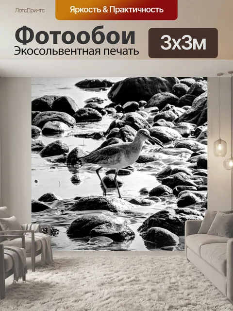 Фотообои птица среди горных пород