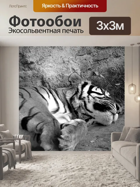 Фотообои Спящий тигр