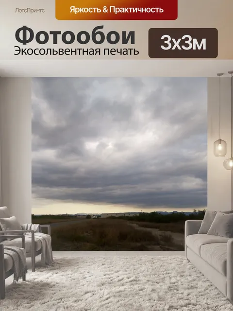 Фотообои Темные облака в поле