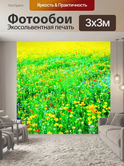 Фотообои поле, усыпанное ярким диким цветами, под сильным солнечным светом, который создает драматические тени