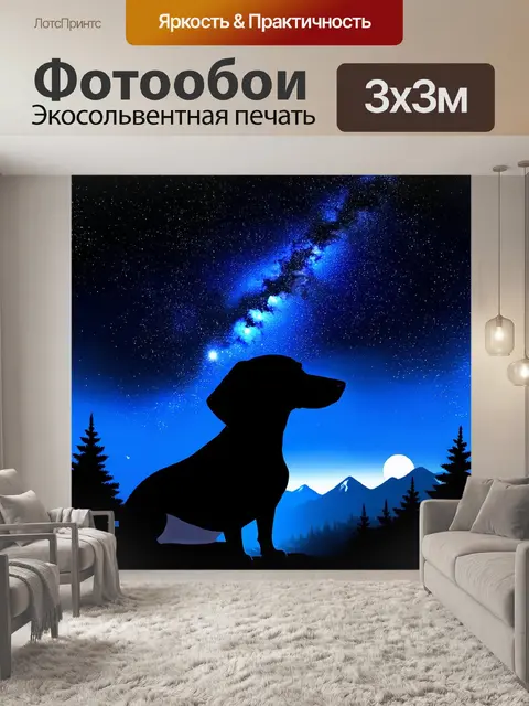 Фотообои такса, наблюдающая за звездами на ночном небе в горах, с яркими звёздами и полосами млечного пути над головой