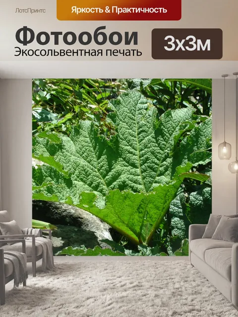 Фотообои Зеленый сад Фон