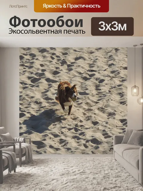 Фотообои Собака на пляже