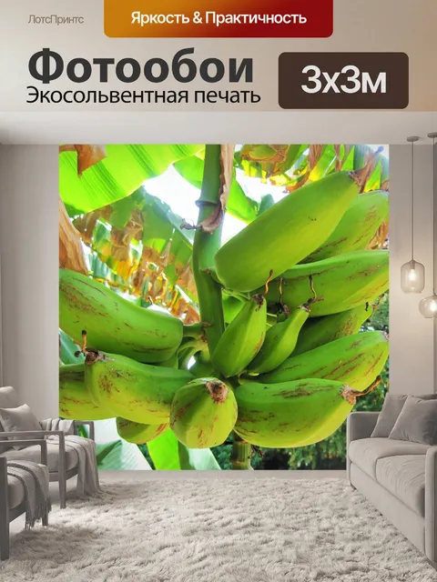 Фотообои зеленые бананы