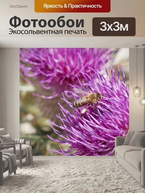 Фотообои Bee