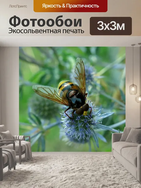 Фотообои Летать в воздухе