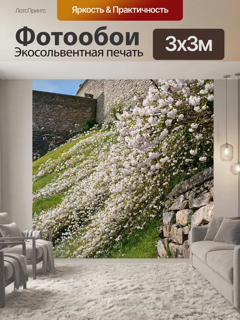 Фотообои сцена с цветами вишни, каскадно спускающимися по склону холма, окруженного старинными каменными стенами