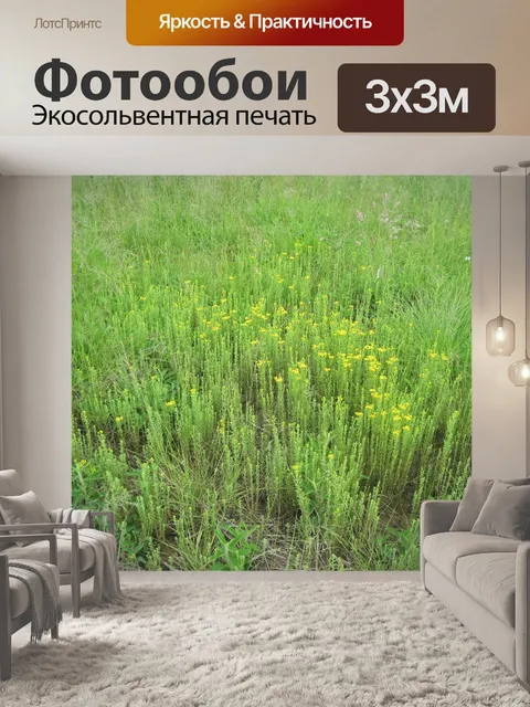 Фотообои луга с желтыми полевыми цветами