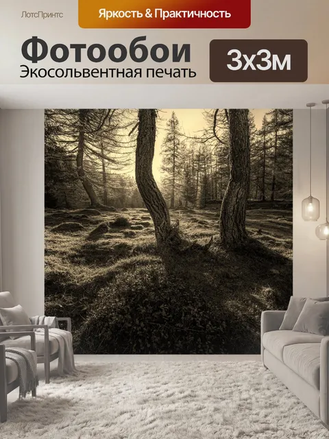 Фотообои Лес