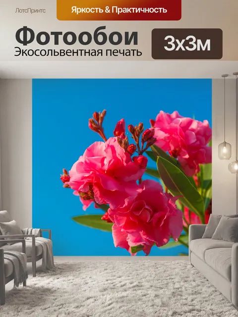 Фотообои розовый олеандр