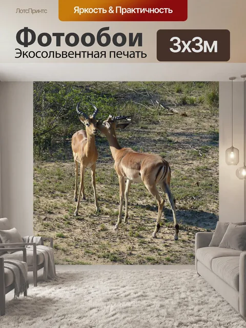 Фотообои Южная африка