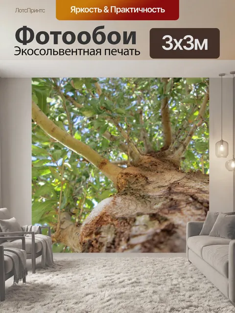 Фотообои Дерево Перспектива 22