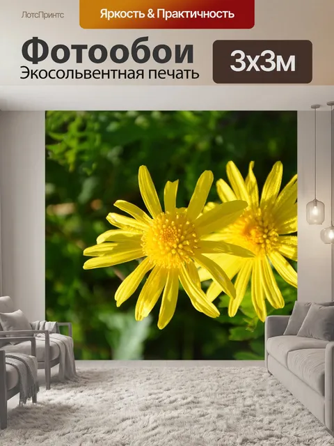 Фотообои Ромашки желтые