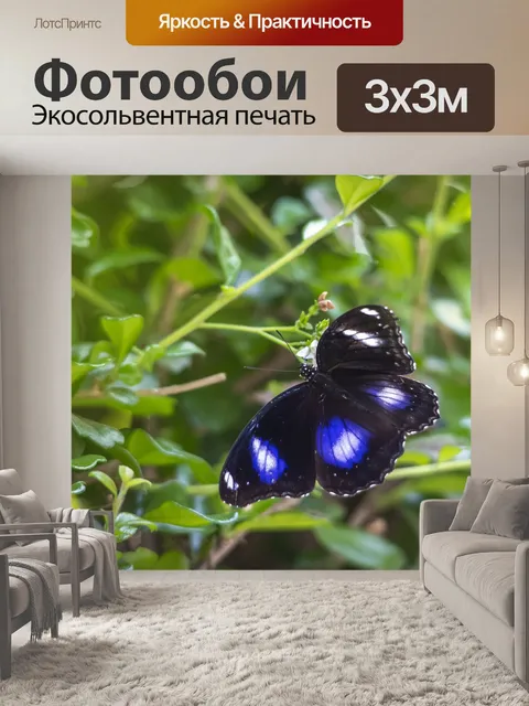 Фотообои Голубая луна бабочка