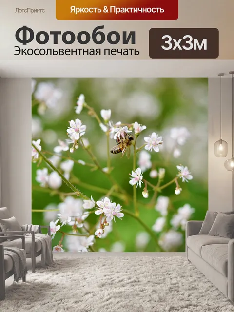 Фотообои Пчела