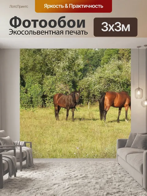 Фотообои Лошади