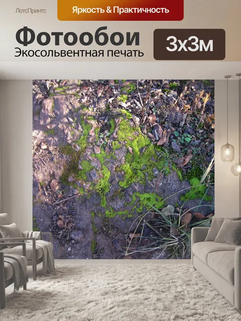 Фотообои ярко-зеленый мох на солнце