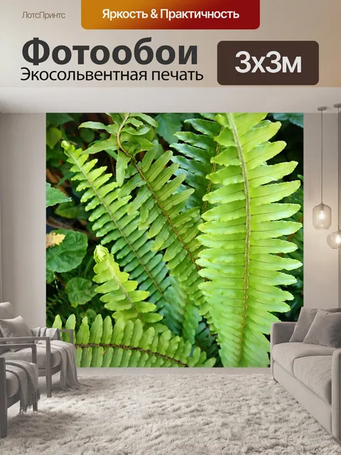 Фотообои Папоротник