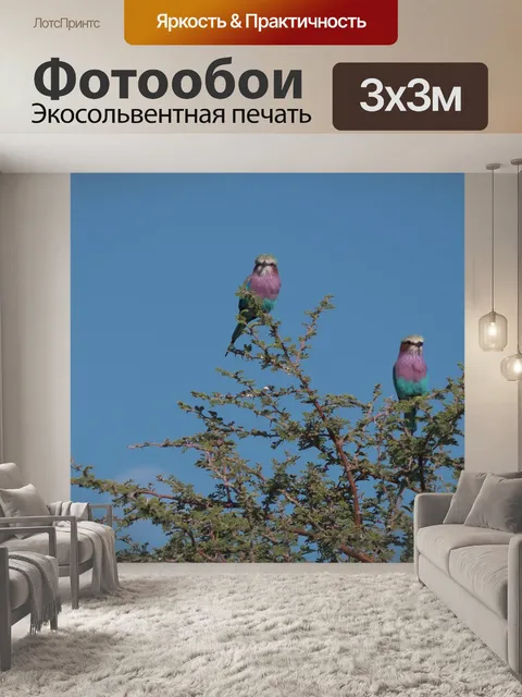 Фотообои Вилка колодка